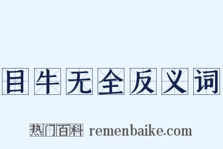 目牛无全反义词是什么意思的图片